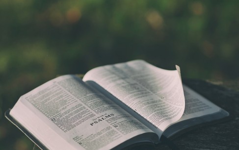 박원규목사 로마서 설교(11) 이것이 유대인의 죄상이다 (롬 2:17-24)